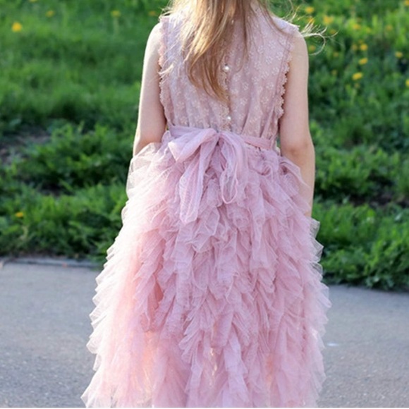 โจ๐HP๐โจGorgeous, fluffy pink tulle dress - Picture 3 of 8